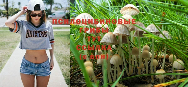 дурь Горняк