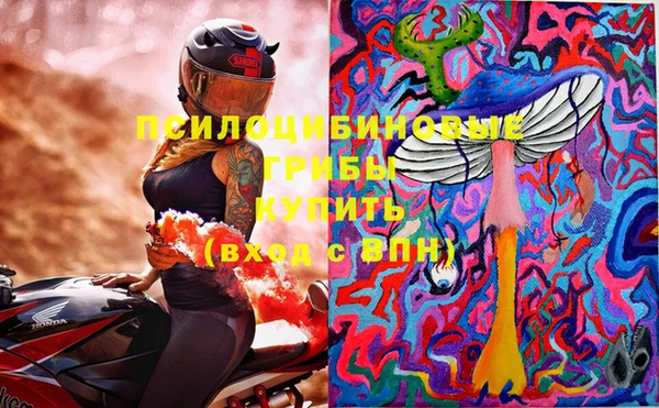 apvp Вязники